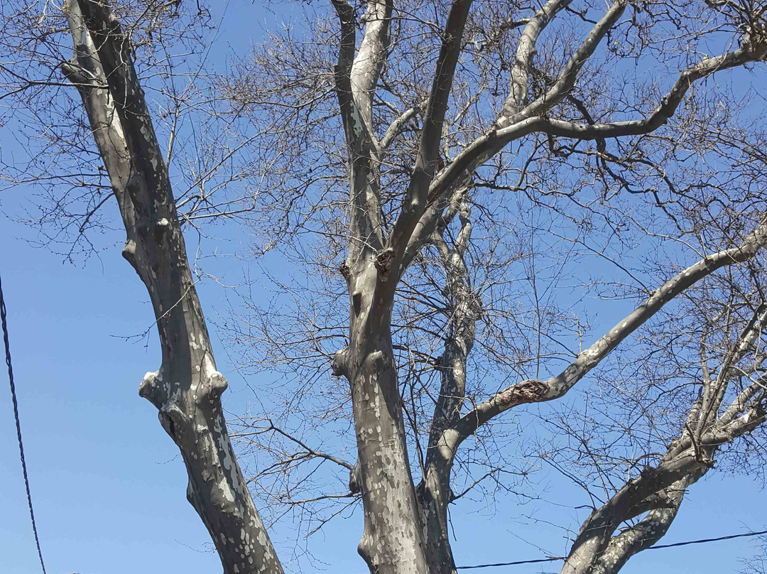 Rumeli Feneri-伊斯坦布尔必去景点