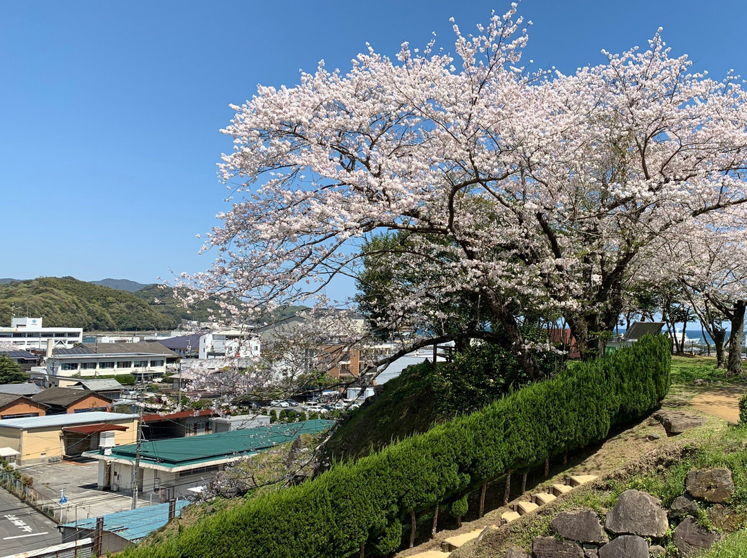 Usuki Park景点图片