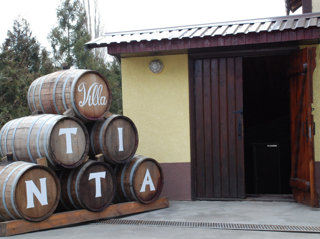 Winehall Oksamytne-Oksamytne必去景点