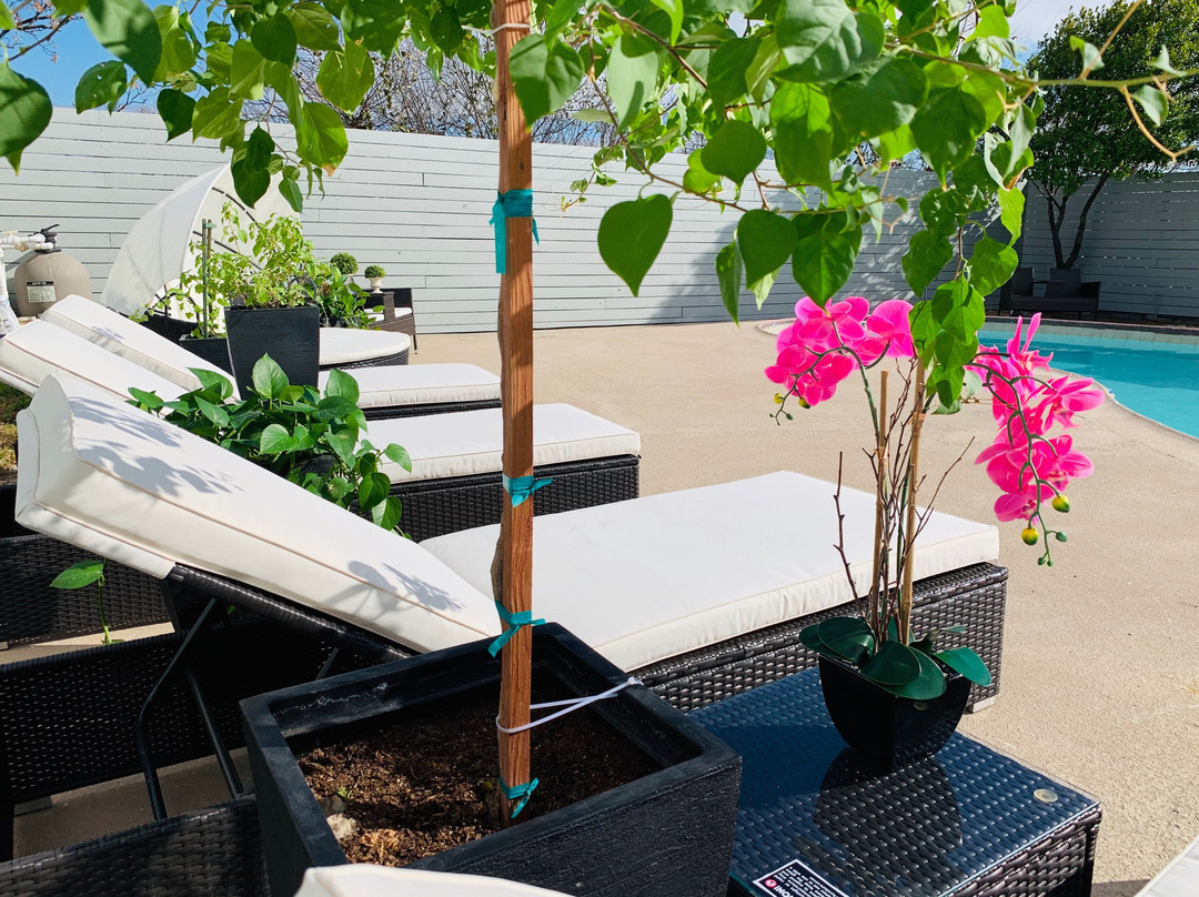 Stratus Suites - Boutique Hotel主图