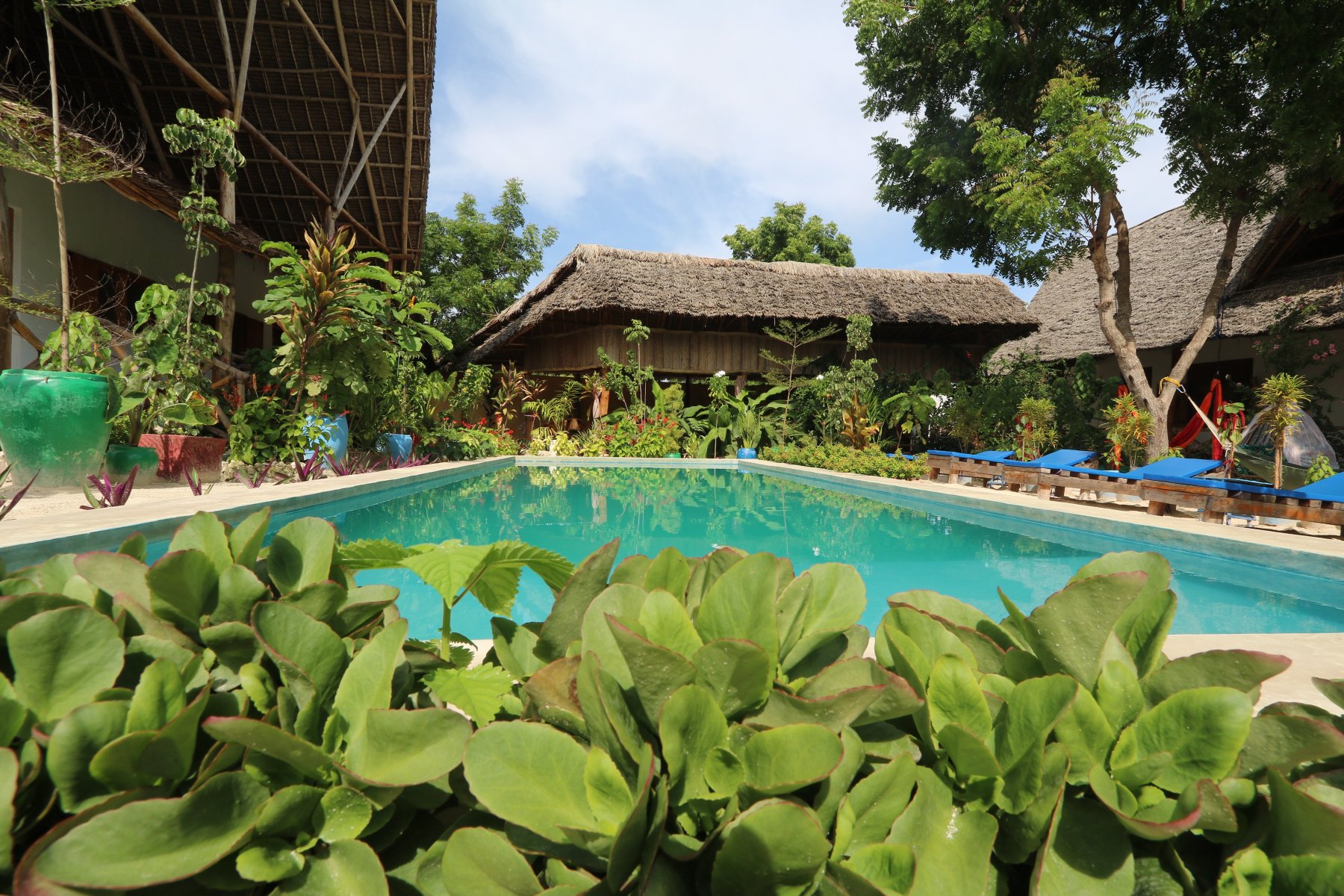 Salama & Mbuyuni Bungalows-官方