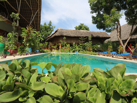 Potowa酒店住宿-Salama & Mbuyuni Bungalows