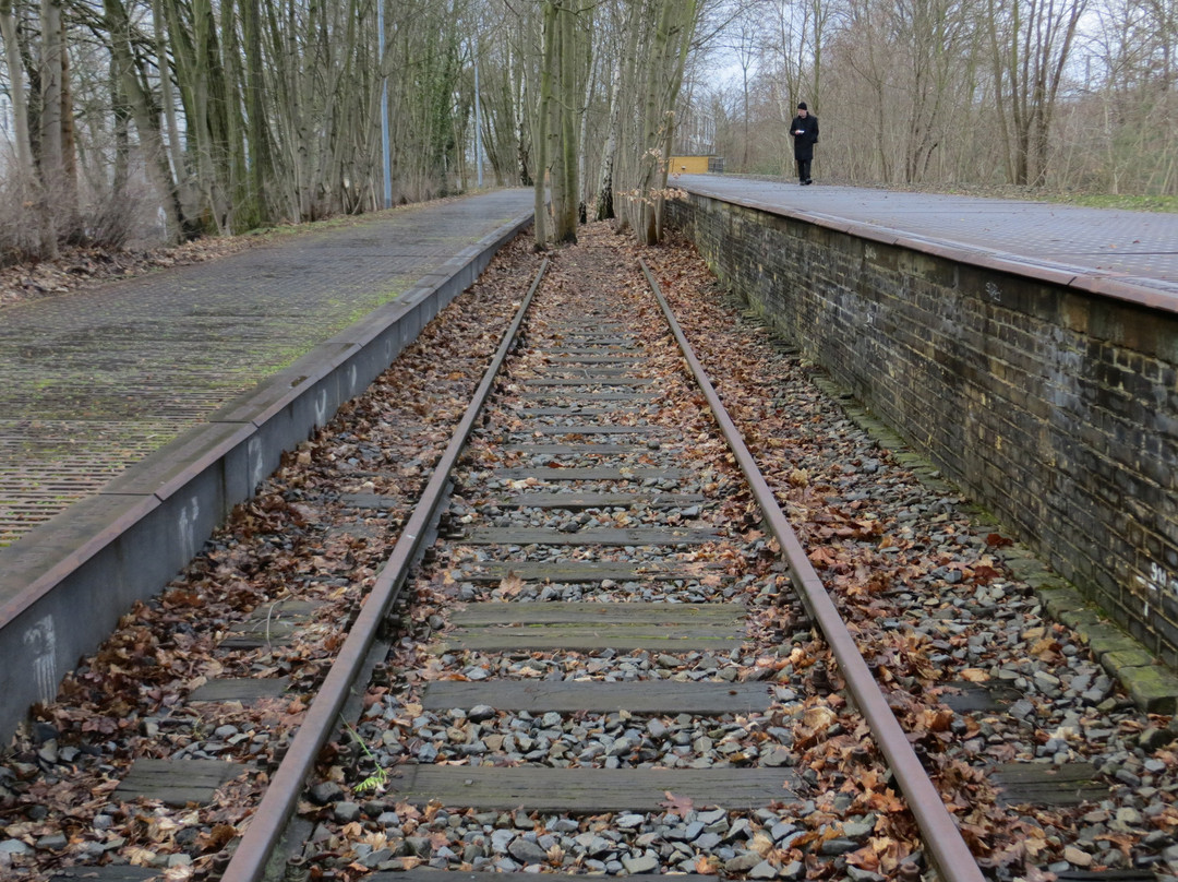 Gleis 17, Grunewald景点图片