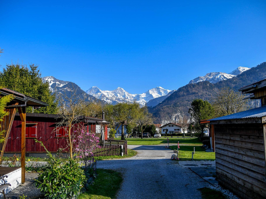 JungfrauCamp