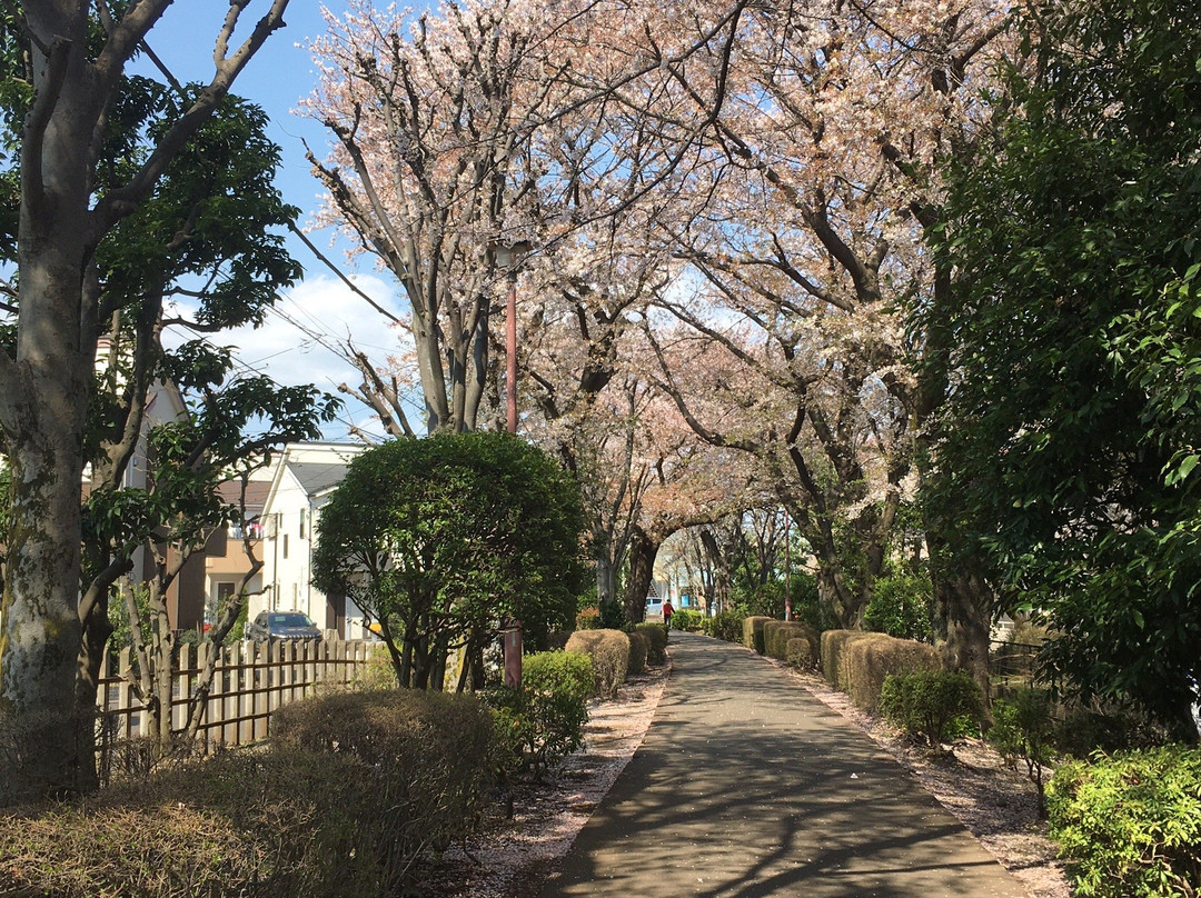 Nishimachi Ryokuchi-国分寺市必去景点