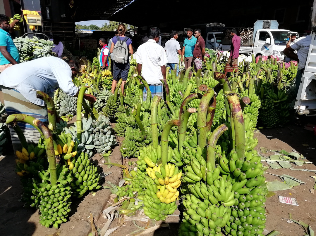 Dambulla Dedicated Economic Centre-丹布拉必去景点