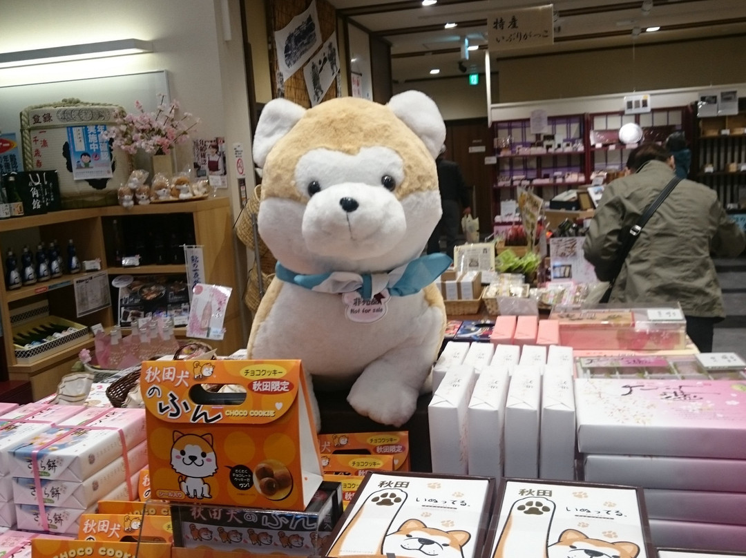 Shokusai Machiyakan-仙北市必去景点