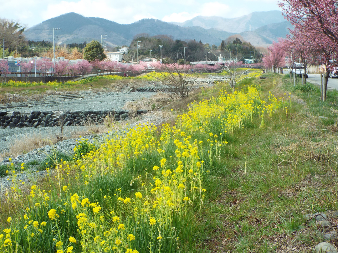 Mizunashi River-秦野市必去景点