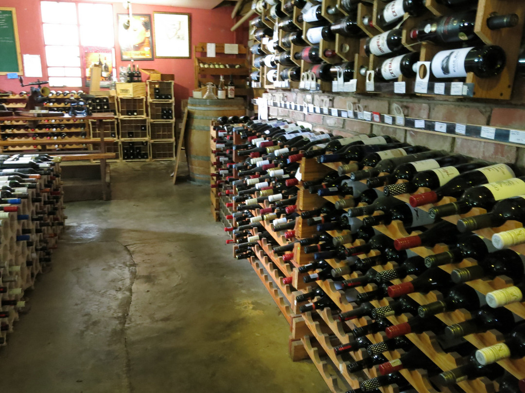 The Wine Cellar-Rosetta必去景点