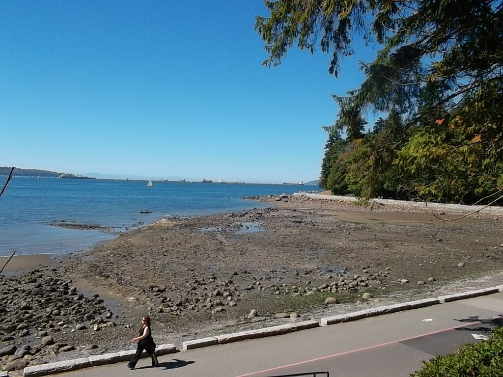 Capilano River Regional Park-北温哥华必去景点