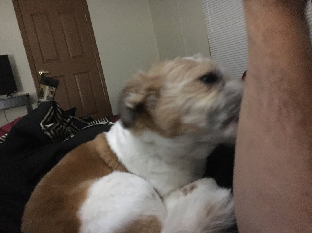 Super 8 by Wyndham Radcliff Ft. Knox Area主图