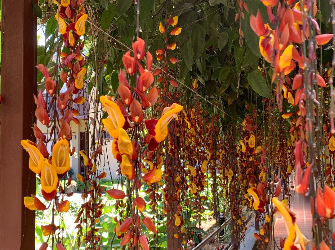 Monteverde Country Lodge主图