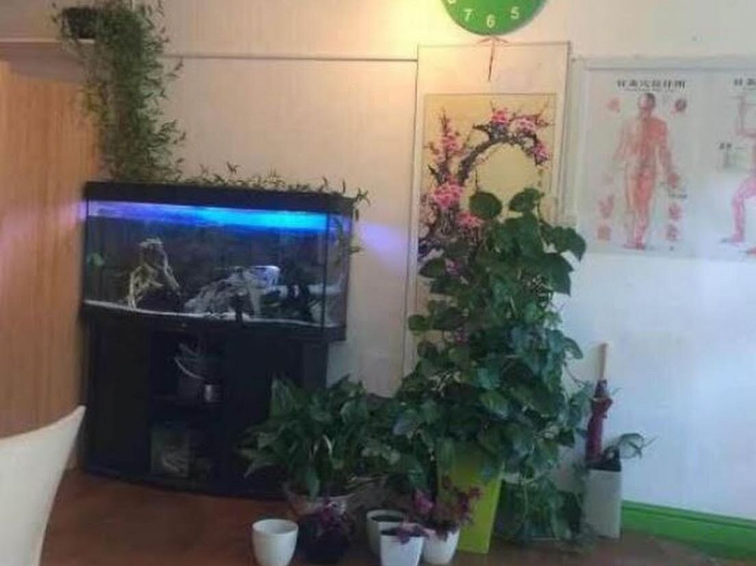 Exeter Massage Centre-埃克塞特必去景点