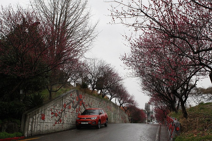 Maegokdong Tammae Village-顺天市必去景点