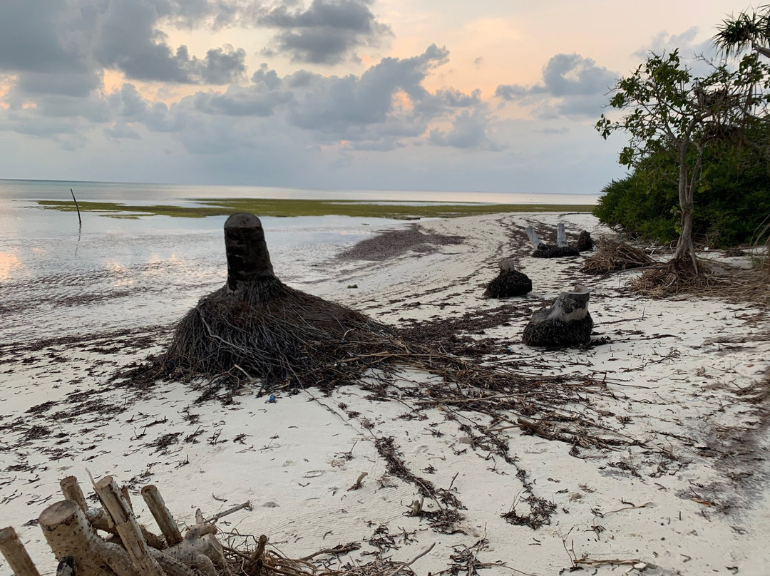 Horsburgh Island Guest House主图