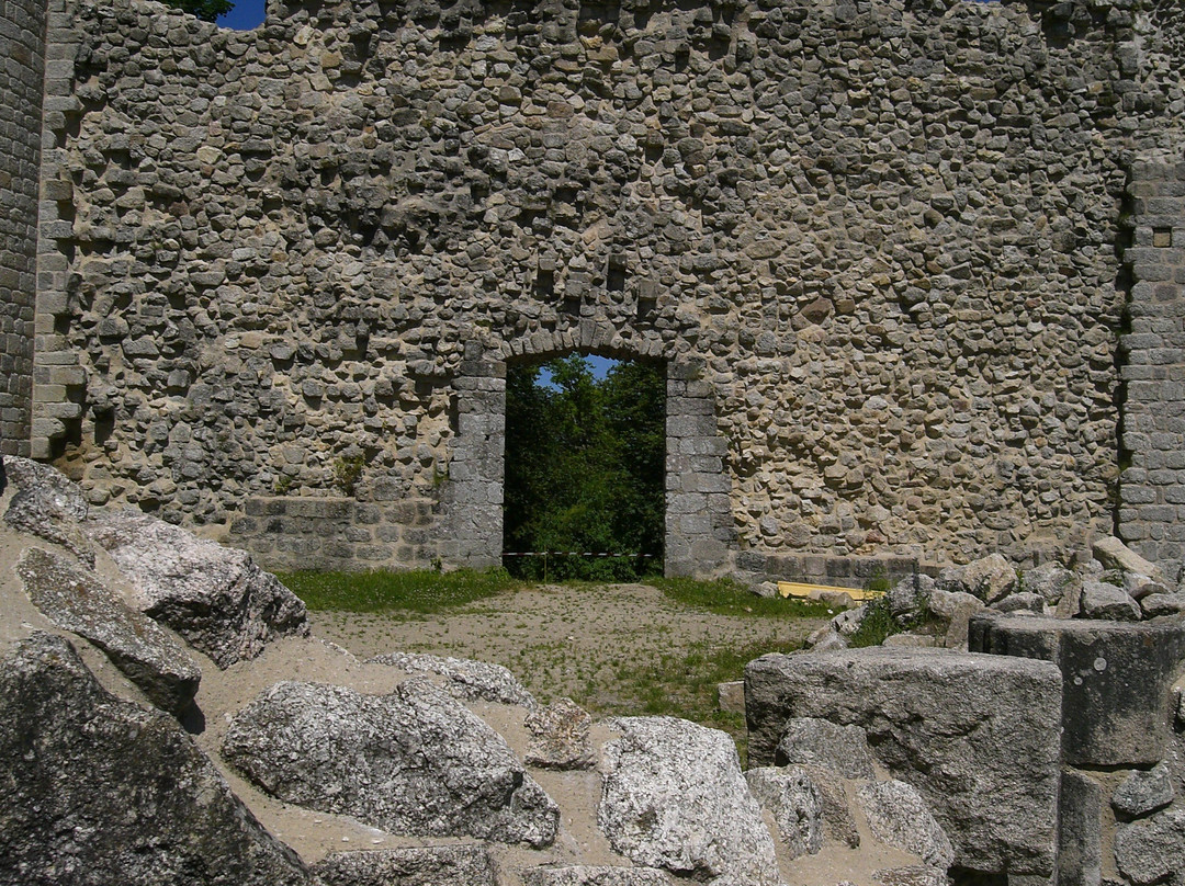 Chateau de Ventadour景点图片