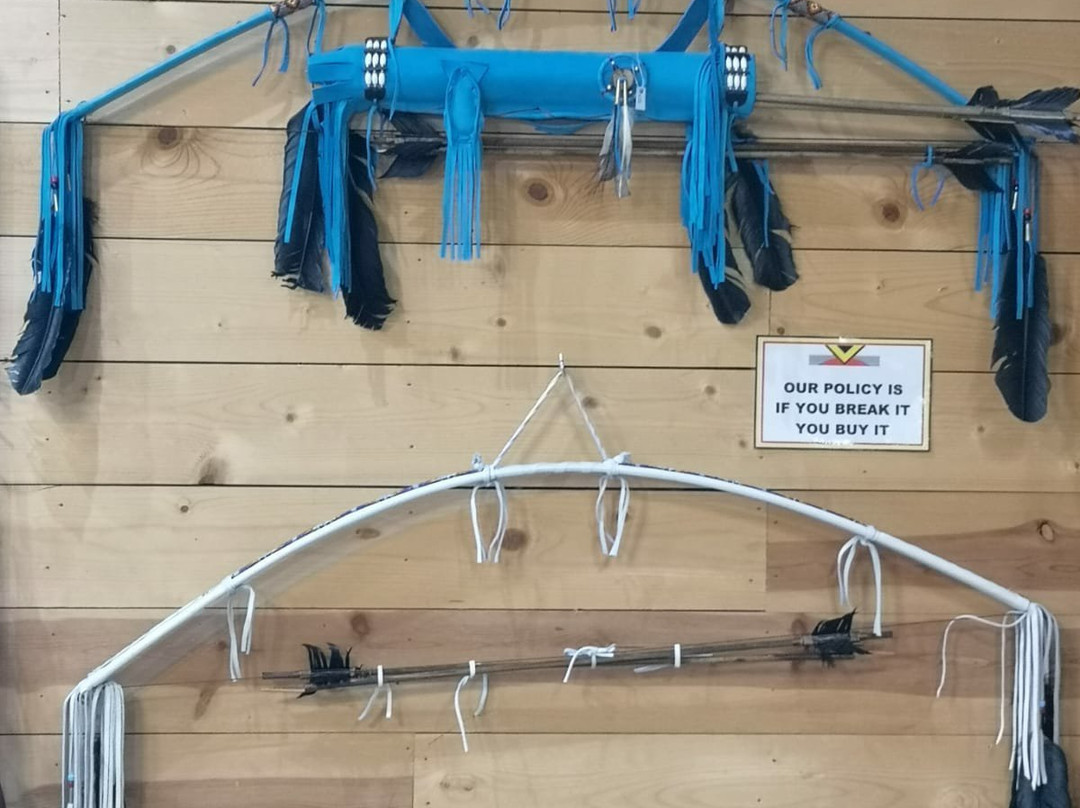 Billie Swamp Safari-克莱维斯顿必去景点