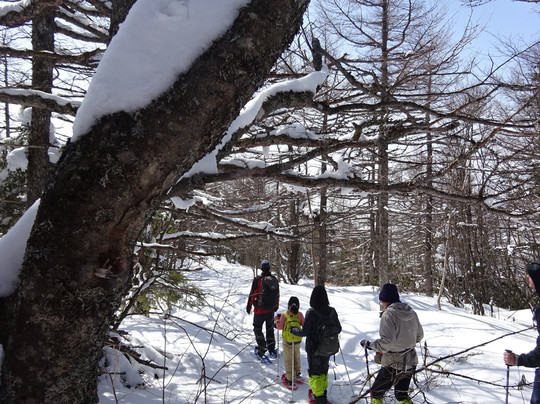 Takamine Onsen主图