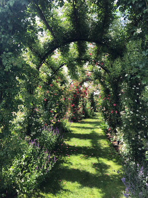 Peter Beales Roses景点图片