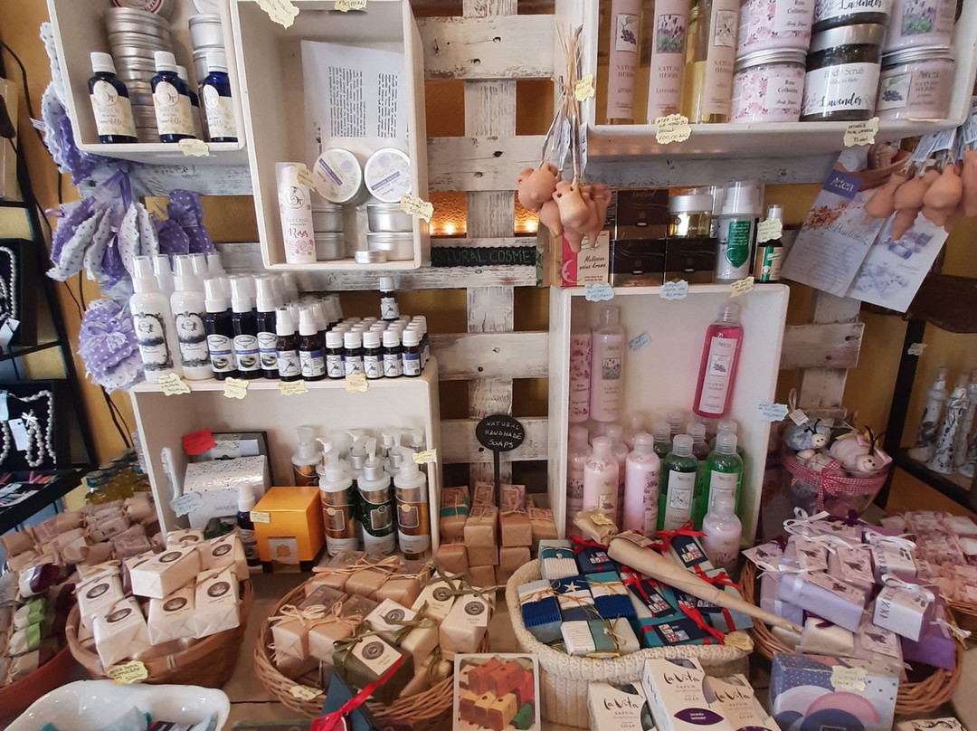 Kredenca Opatija-欧帕提亚必去景点