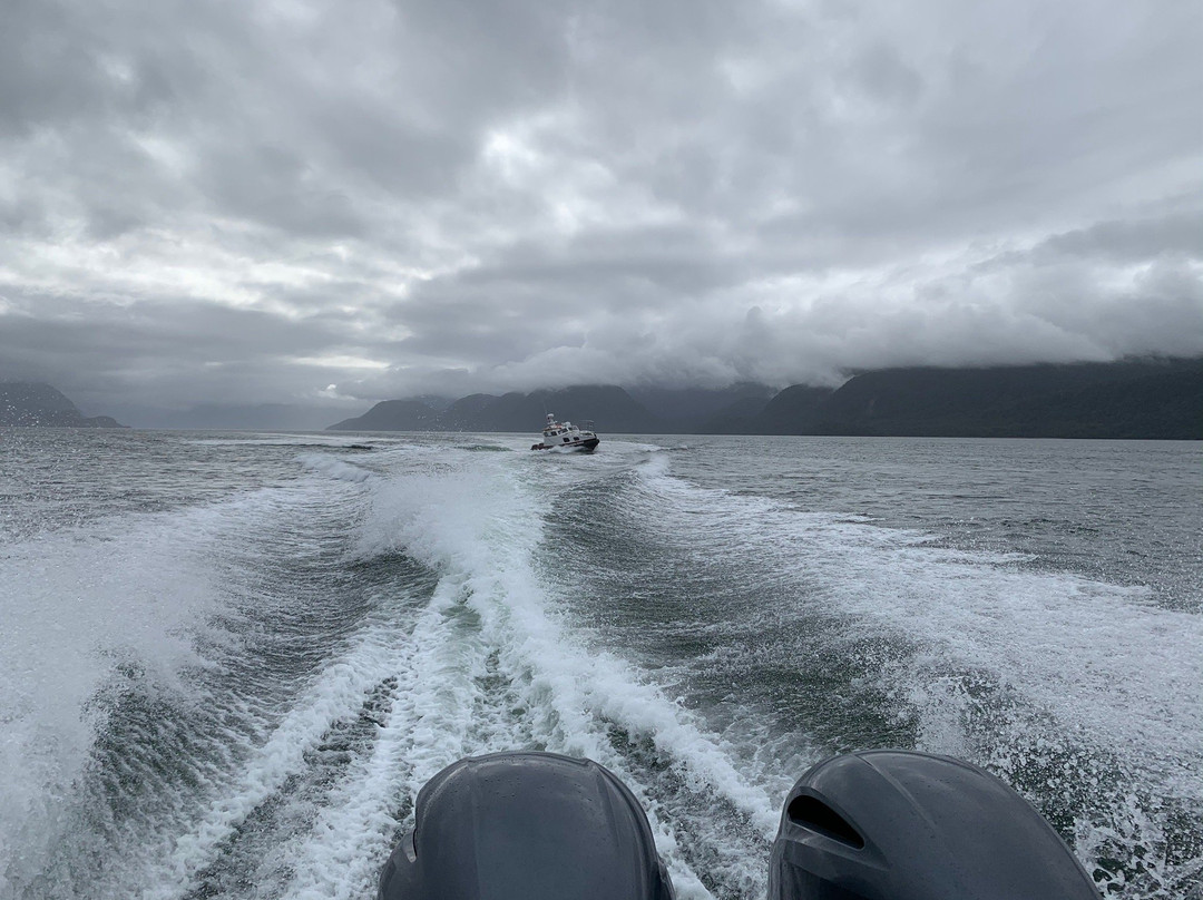 Parque Nacional Laguna San Rafael-Puerto Rio Tranquilo必去景点