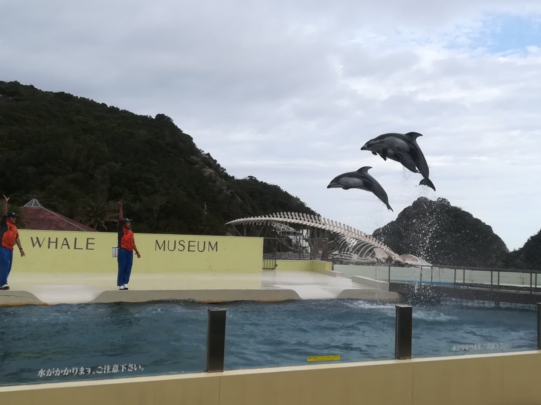 Taiji Whale Museum-太地町必去景点