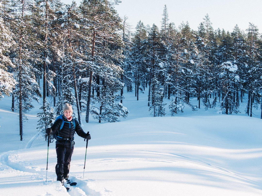 Taste Of Outdoors-Pyhatunturi必去景点