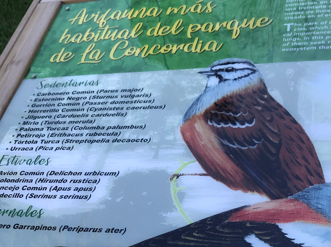 Parque de la Concordia-Guadalajara必去景点