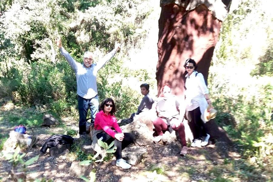 Experiencias En Castellón-卡斯特利翁-德拉普拉纳必去景点