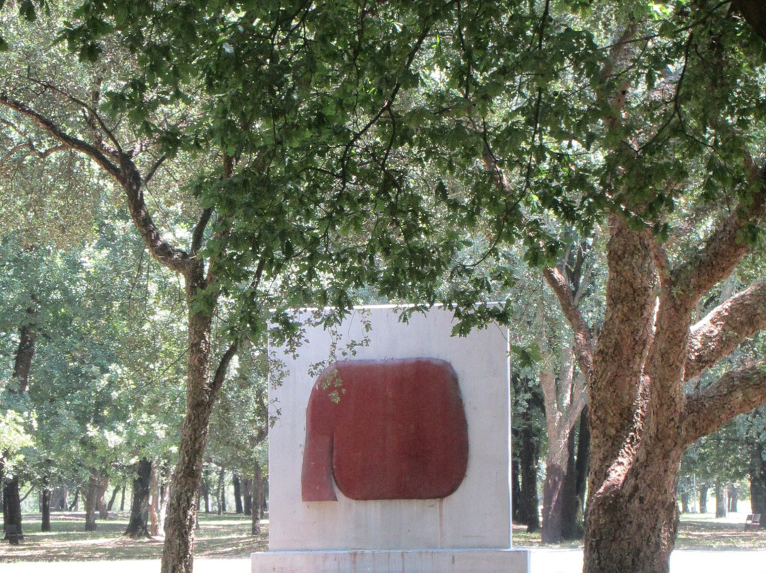 Parque Urbano Sara Moreira景点图片
