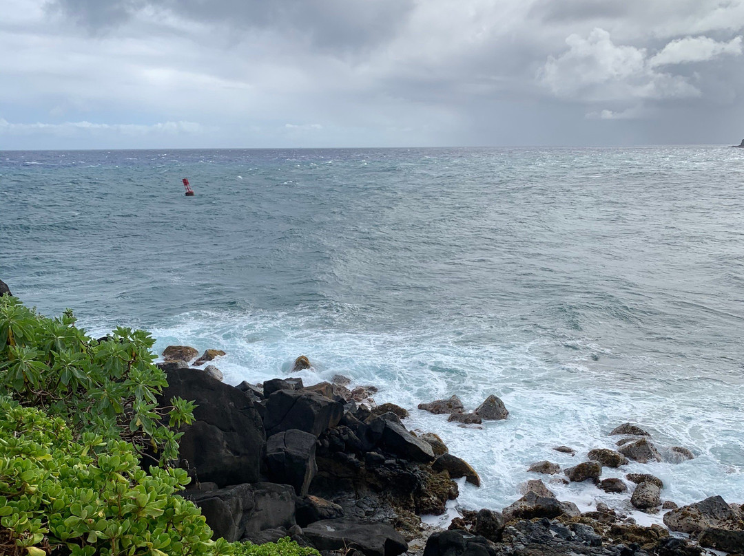 Ninini Point Lighthouse-利胡埃必去景点