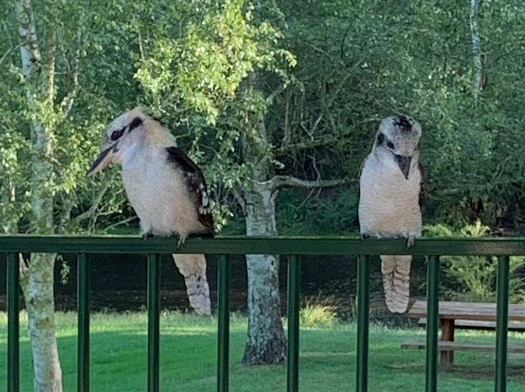 亚拉河谷贝斯特韦斯特酒店主图