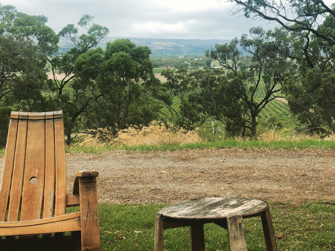 Wine Tasting at McLaren Vale and Adelaide Hills景点图片
