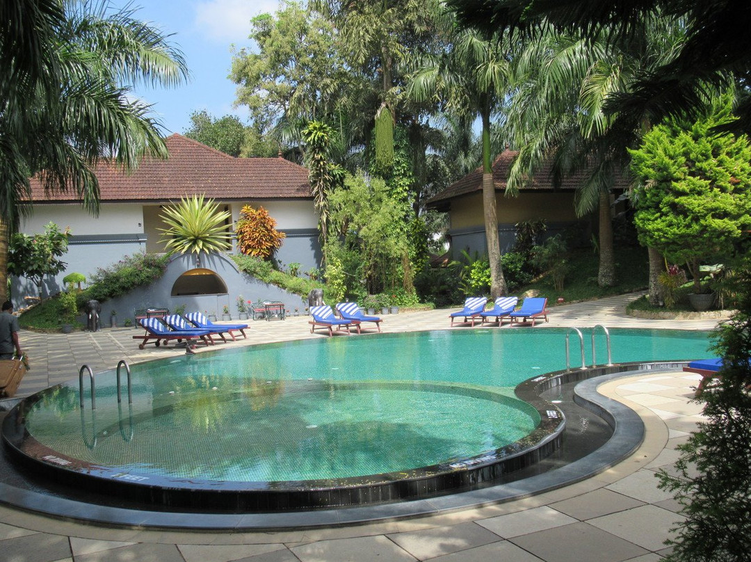 The Elephant Court主图