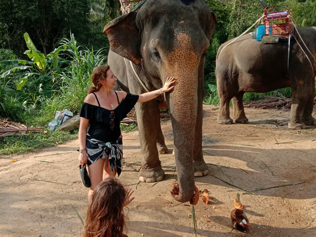 Phangan Jungle景点图片