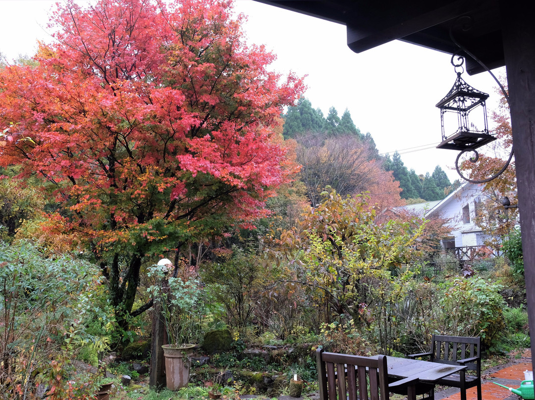 Naturel Garden Minamiaso-南阿苏村必去景点