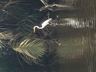 Hotel Villa del Prado主图