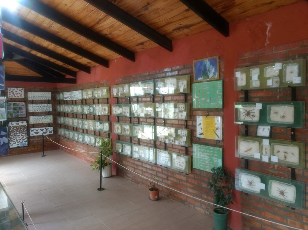 Museo Piedras del Mundo景点图片