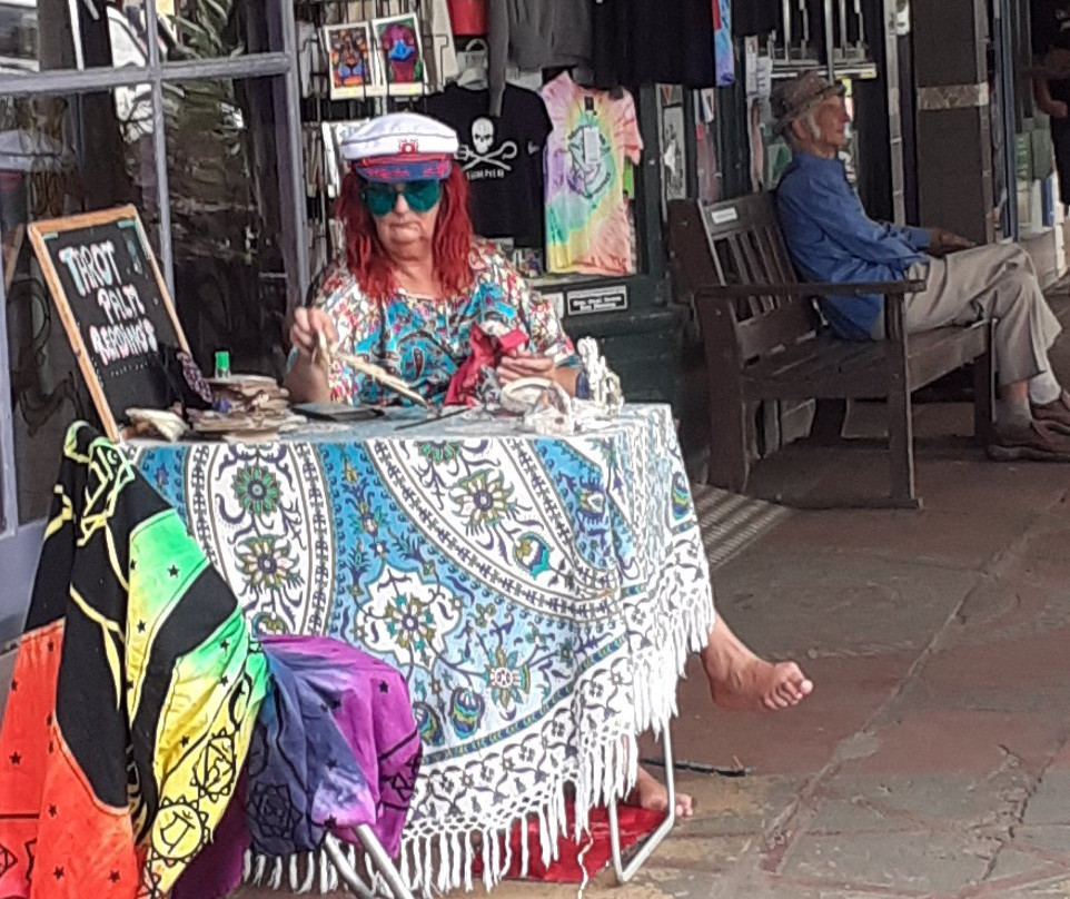 Happy Coach Byron Bay to Nimbin Tours景点图片