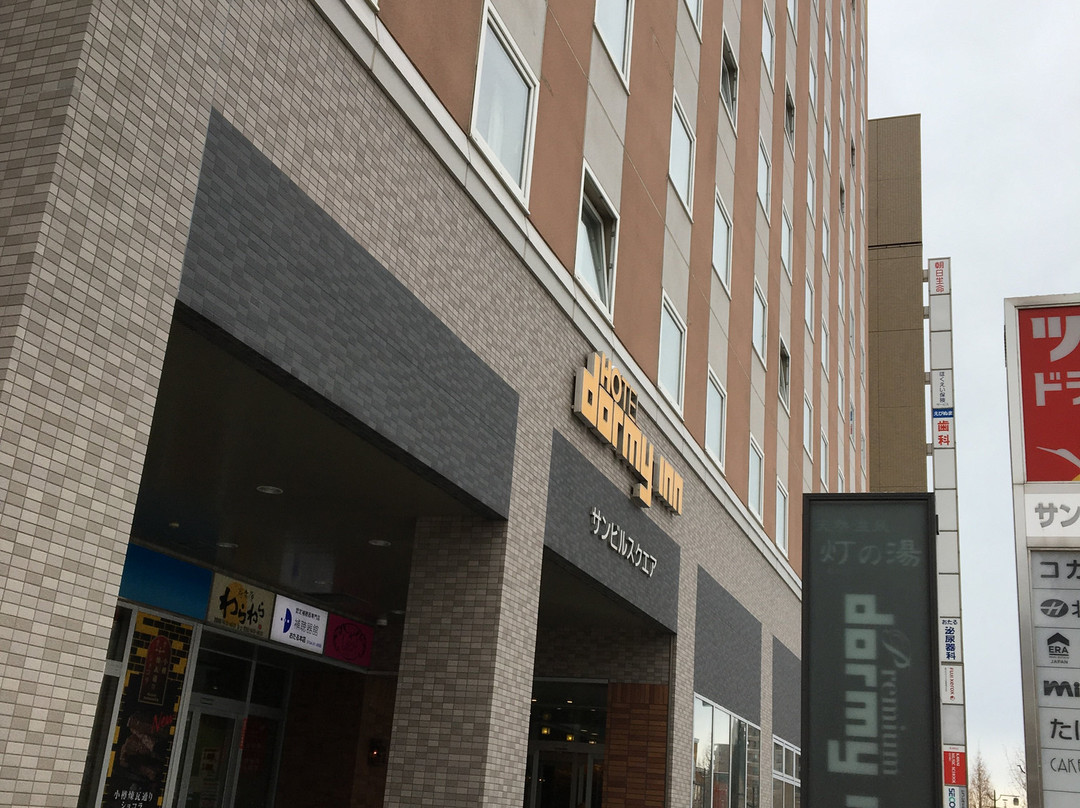 小樽豪华多米酒店主图