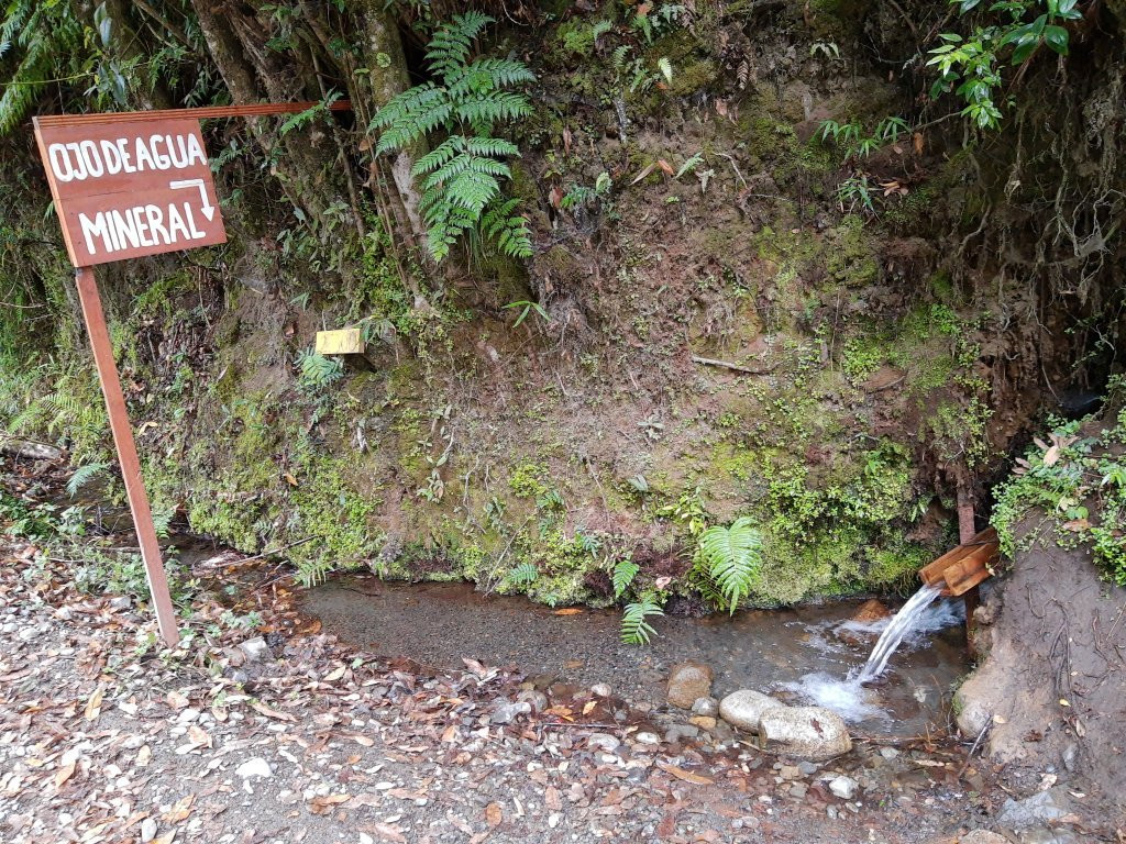 Reserva Nacional Mocho Choshuenco-Choshuenco必去景点