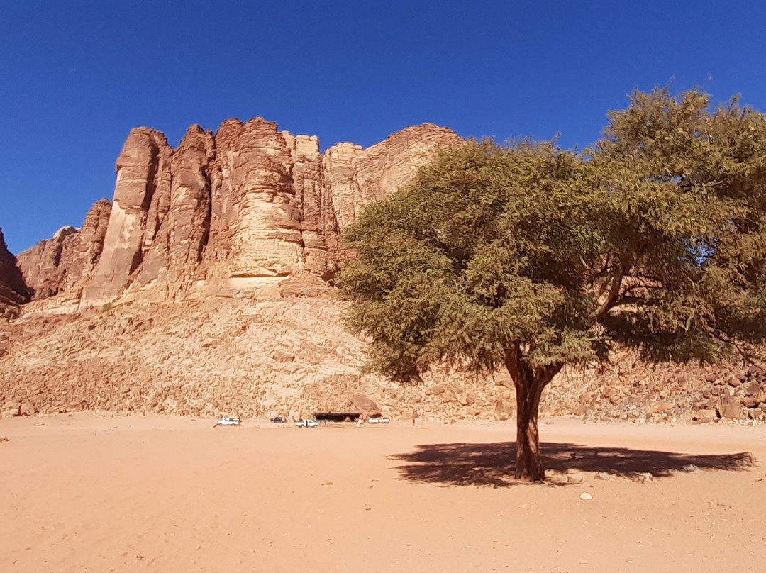 Wadi Rum Safari-Wadi Rum Village必去景点