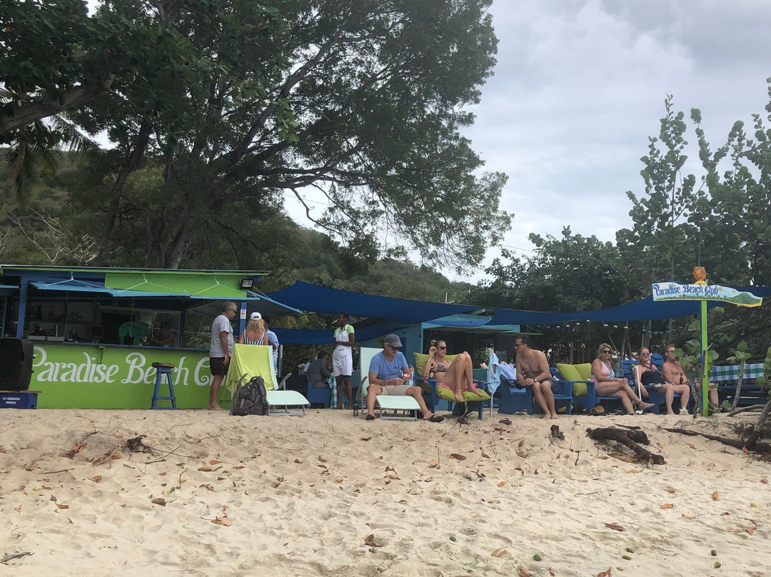 Isle of Reefs Tours - Day Tours景点图片