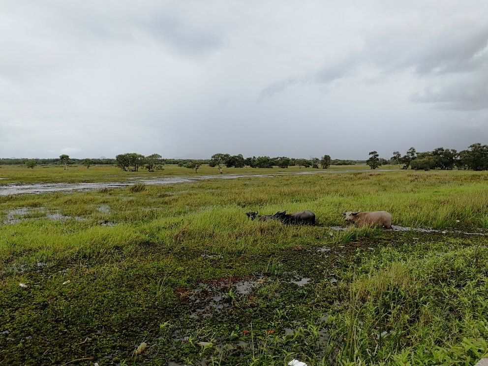 Thale Noi Bridge景点图片