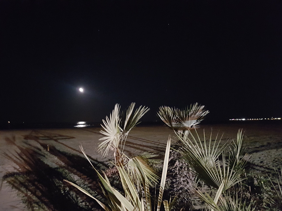 Playa Tamarindo景点图片