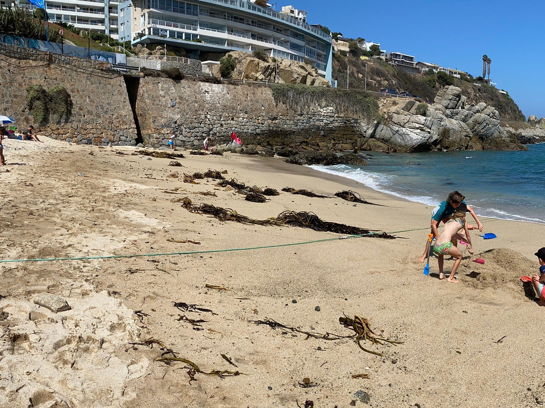 Playa Los Lilenes-Concon必去景点