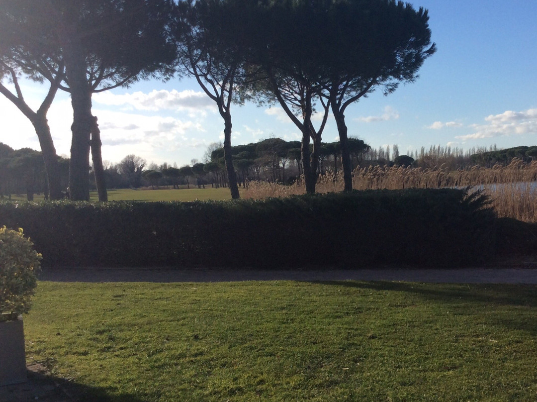 Adriatic Golf Club Cervia景点图片