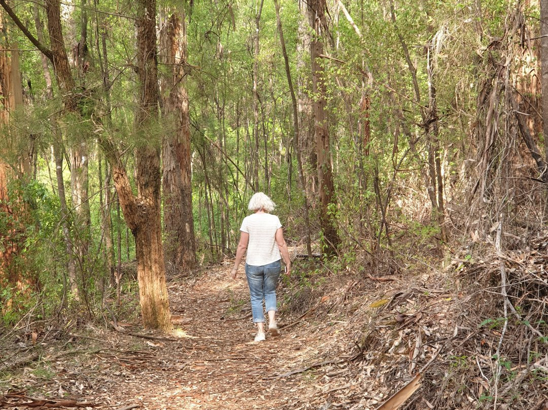 Harewood Forest景点图片