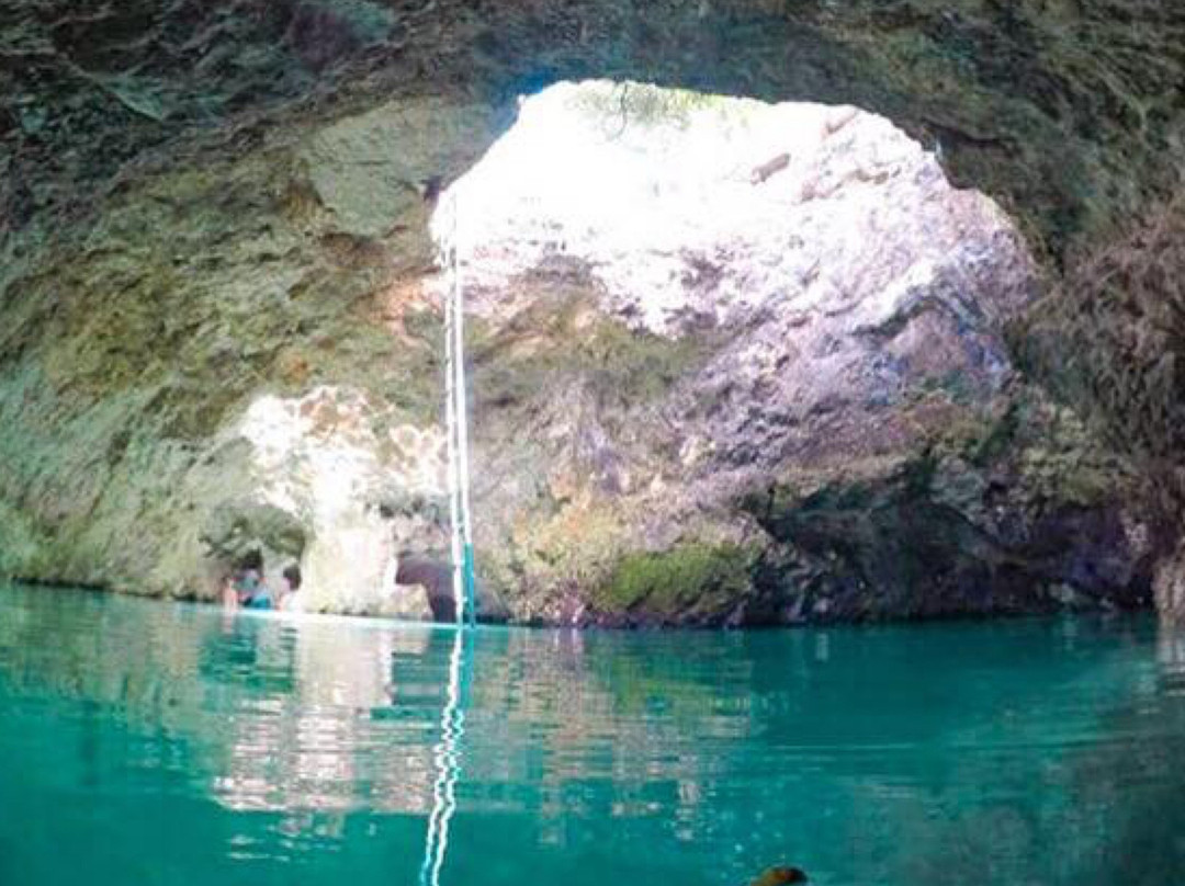 Ellis Tours & Transfers-蒙特戈贝必去景点