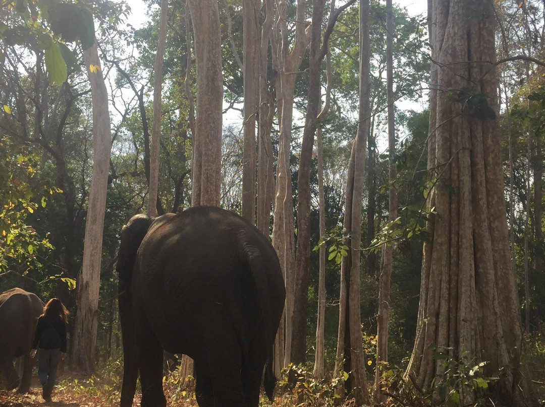 Mondulkiri Tour Guide景点图片